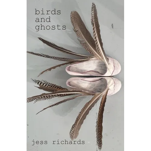 Birds and Ghosts - Paperback