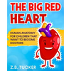 The Big Red Heart: The Cardiovascular System for Children - Paperback