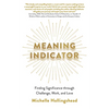 Meaning Indicator: Finding Significance Through Challenge, Work, and Love - Paperback