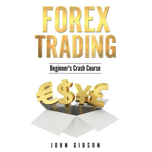 Forex Trading: The Beginner's Crash Course - Paperback