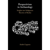 Perspectivism in Archaeology - Hardcover