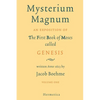 Mysterium Magnum: Volume One - Paperback