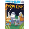 Knight Owls: Ready-To-Read Pre-Level 1 - Hardcover