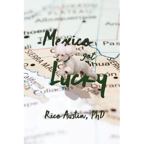 Mexico Got Lucky: Updated Edition - Paperback