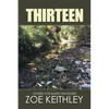 Thirteen: Stories for Earth Travelers - Paperback
