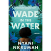 Wade in the Water - Paperback