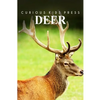 Deer - Curious Kids Press - Paperback