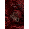 Sirius Workings Vol 1 - Paperback