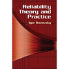 Reliability Theory and Practice - Paperback