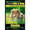 Sheltie, Sheltie Training AAA AKC Think Like a Dog But Don't Eat Your Poop!: Here's EXACTLY How To TRAIN Your Sheltie - Paperback