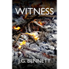 Witness: The Story of a Search - Paperback