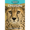 Cheetahs - Paperback