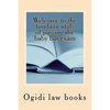 Welcome to the fundamentals of passing the baby bar exam: Pre exam study for an increasingly tough exam - Paperback