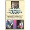 Cats Body Language - Paperback