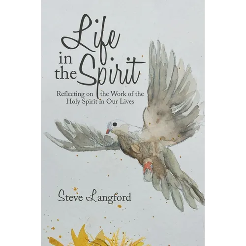 Life in the Spirit: Reflecting on the Work of the Holy Spirit in Our Lives - Paperback