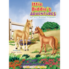 Ittie Biddie's ADVENTURES ( Itty-Biddie Problem) - Hardcover