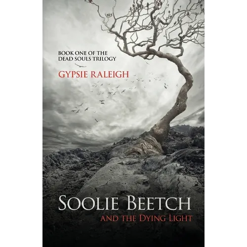Soolie Beetch and the Dying Light - Paperback