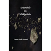 Asteroids in Midpoints - Paperback