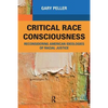 Critical Race Consciousness: The Puzzle of Representation - Paperback
