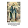 Collection of Masses of the Blessed Virgin Mary: Entrance and Communion Antiphons - Paperback