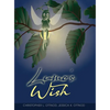 Lumo's Wish - Hardcover
