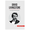David Livingstone: En el corazón del continente africano - Paperback