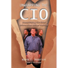 Unwrapping The CIO: Demystifying the Chief Information Officer Position - Paperback