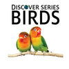 Birds: Discover Series Picture Book for Children - Paperback