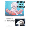 Doodle on a Noodle: VOLUME 1 The Early Days - Paperback