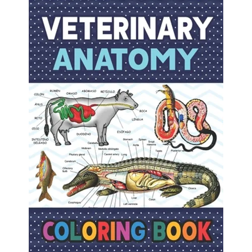 Veterinary Anatomy Coloring Book: Fun and Easy Veterinary Anatomy Coloring Book for Kids. Handbook of Veterinary Anesthesia. Dog Cat Horse Frog Bird A - Paperback
