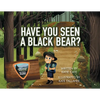 Have You Seen A Black Bear - Paperback