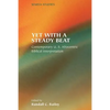 Yet with a Steady Beat: Contemporary U.S. Afrocentric Biblical Interpretation - Paperback