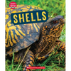 Shells (Learn About: Animal Coverings) - Paperback