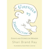 Surprised by Imperfection: Essays and Stories on Wonder - Paperback