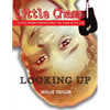 Little Champ Adventures: The Fight of His Life - Looking Up - Paperback