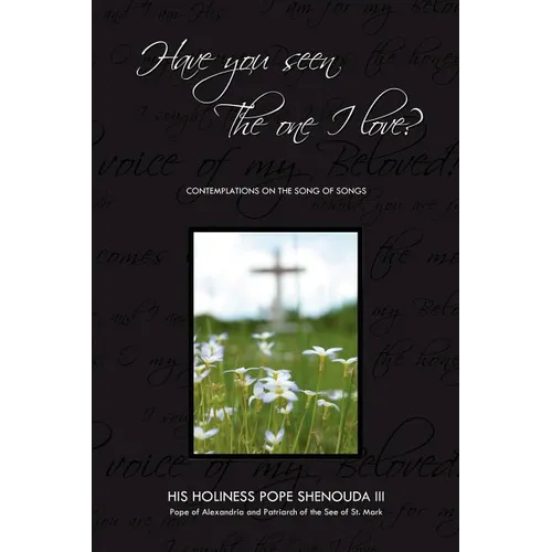 Have You Seen the One I Love: Contemplations on the Song of Songs - Paperback
