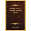 The Coal Fields Of Saginaw, Michigan (1898) - Paperback