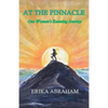 At The Pinnacle: One Woman's Running Journey - Paperback