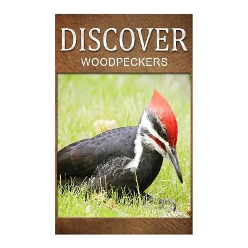 Woodpeckers - Discover: Early reader's wildlife photography book - Paperback