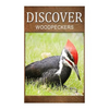 Woodpeckers - Discover: Early reader's wildlife photography book - Paperback
