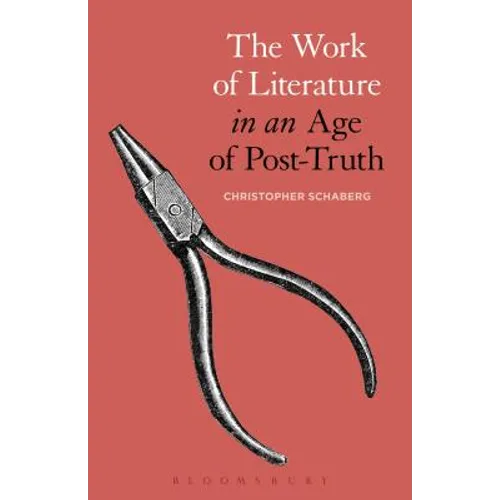 The Work of Literature in an Age of Post-Truth - Paperback