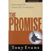 The Promise: Experiencing God's Greatest Gift - The Holy Spirit - Paperback