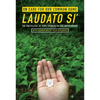 On Care for Our Common Home, Laudato Si': The Encyclical of Pope Francis on the Environment with Commentary by Sean McDonagh - Paperback