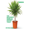 Trees: The Beginners Guide To Growing Potted Trees - Paperback