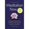 Meditation Now: A Beginner's Guide: 10-Minute Meditations to Restore Calm and Joy, Anytime, Anywhere - Paperback