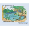 Peter Platypus's Pond - Paperback