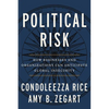 Political Risk: How Businesses and Organizations Can Anticipate Global Insecurity - Paperback