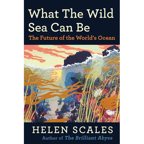 What the Wild Sea Can Be: The Future of the World's Ocean - Hardcover