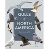 Gulls of North America - Paperback