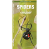 Spiders: A Folding Pocket Guide to Familiar & Unusual Species Worldwide - Paperback